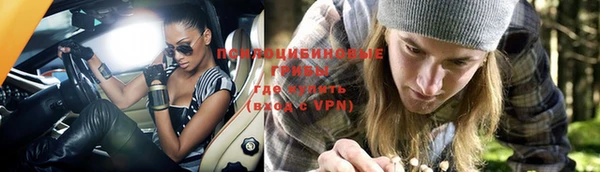 спиды Абдулино