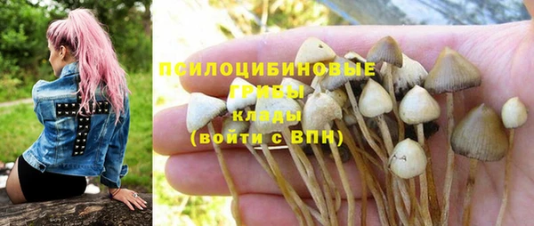 спиды Абдулино