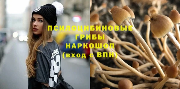 а пвп мука Абаза